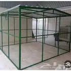 عشة طيور ثلاث في ثلاث جدد