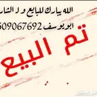 بقره جيرسية لقاح