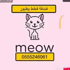 شاهد التقييمات - فندقة قطط و طيور في سفركم