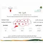فيز للعزوبى والمتزوج والارملة والمطلقة مساند
