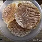 عسل سدر للبيع