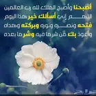 ابحث عن إيجار محل المنيوم