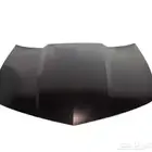 كبوت كمارو شد بلد نظيف