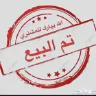 حمام زاجل