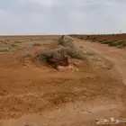 ارض زراعية للبيع في حائل