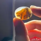 عقيق مصور رأس اسد .