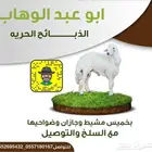 ذبايح خرفان رخال حريات مع السلخ والتوصيل