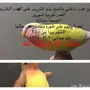 للبيع روز 