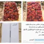 تمر خلاص للبيع الموقع سدير