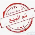 صوص دجاج فيومي