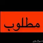 مطلوب مغسلة سيارات