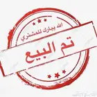 ذكر بادجي ( تم البيع )