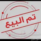 فروخ دجاج عربي