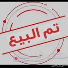 بط بكيني بياض