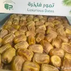 سكري القصيم بينبع