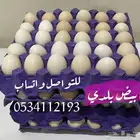 بيض بلدي للاكل و مخصب