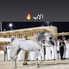 مهر واهو ولد بطل العالم سلطان العنايه
