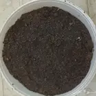 سرف او عسيب لجذب النحل في الجبال