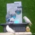 لتجهيز المحميات