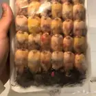 طيور دخل سمون طير التين