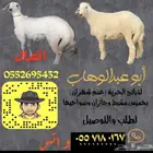 ذبايح خرفان رخال طليان بهم مع السلخ والتوصيل