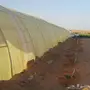 بيوت محمية