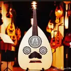 عود جيتار كمان