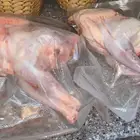 ديك بلدي مذبوح مكيس