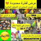 تحليل جميع الطيور لمعرفة جنس الطير لدى أفضل المختبرات