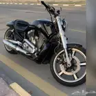 قزوز هارلي V ROD او نايت ROD