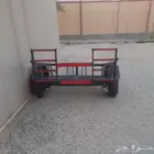 قلص دبابت نريه