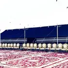 تأجير خيام وجلسات شعبية