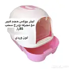 المجارده