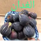 شتلات بخارة بلدي وانواع اخرى