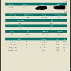 بقيق
