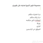 مجموعة طيور للبيع تصفيه على طيوري