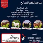 ذبايح خرفان وتيوس وحسلان وحشوان