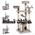 خداشات قطط للبيع