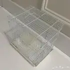 قفص طيور صغير مستخدم السعر اعلى سوم