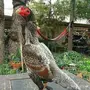 مطلوووب بيض
