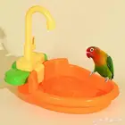 مروش طيور ببغاء روز كروان كنيور درة كويكر