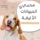 للمربين المميزين فقط