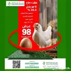 علف دجاج تسمين