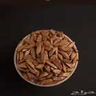 عود مروكي vip