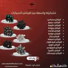 جميع افياش السيارات فيش حساس مروحه هواء دينمو شمعه عوامه