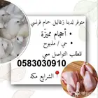 حمام فرنسي