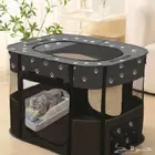 خيمة قطط