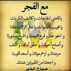 مطلوب دينا مسقطه اي نوع يفضل مستبيشي
