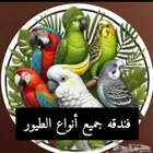 فندقه طيور