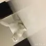قطه شيرازي بيضاء اللون 